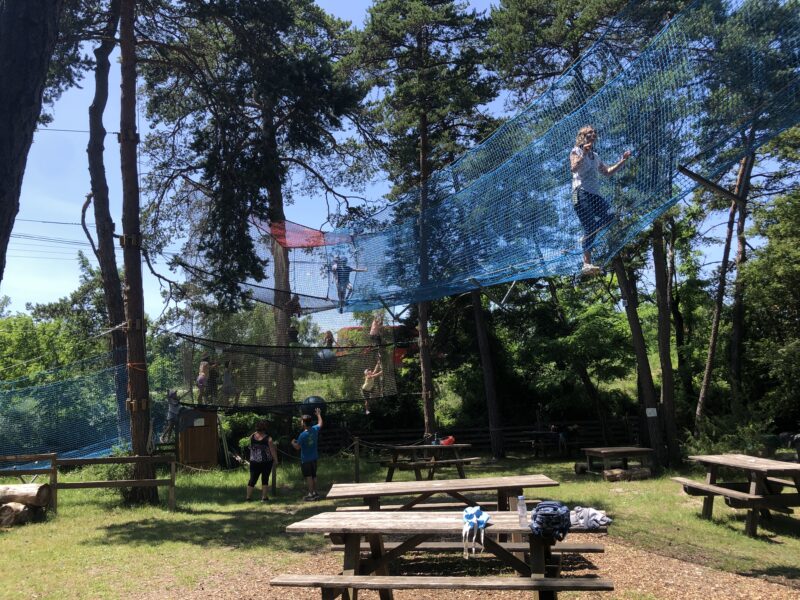 Kinderen lopen over een veilig nettenparcours hoog tussen de bomen in klimpark Arbo’Magic